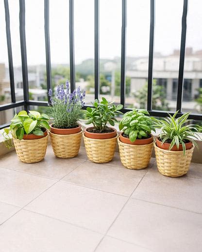 Handwoven Bamboo Planter Baskets for Indoor Plants (Set of 5) – Habere ...