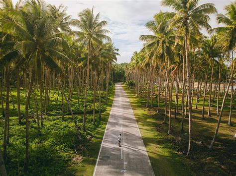 Holidays Leisure old | Aviette