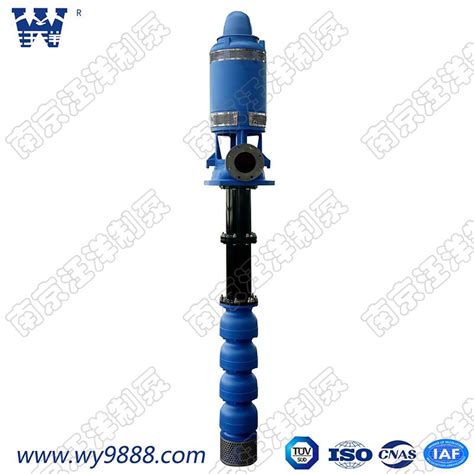 潜水泵家用井水不锈钢全自动小型螺杆深井泵220V单相高扬程抽水泵