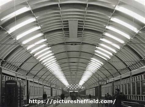 Searching Picture Sheffield