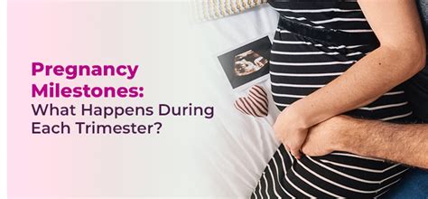 Cambridge Hospital - Infertility & IVF Centre | Pregnancy Milestones ...