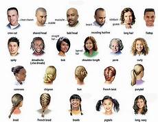 hair style list hair and the different types learning hair style list hair and the different types learning