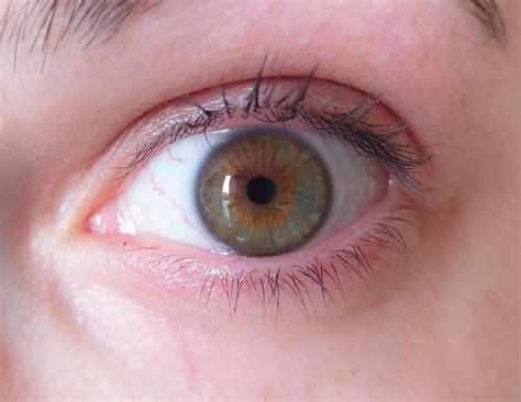 Irish with green eyes, I hear thats a stereotype? : r/eyes