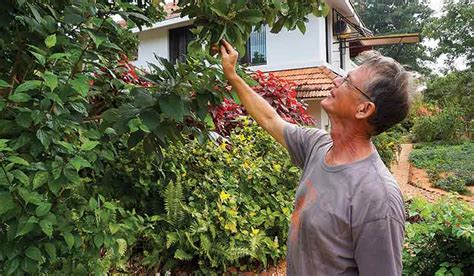 A Dutchman's magnificent garden at Auroville- The Week