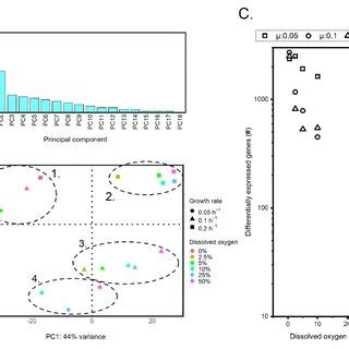 Graphical Abstract Transcriptome 的图像结果