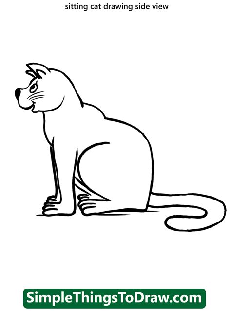 Cat Sitting Side View Drawing (6 ideas) - Simple Things To Draw