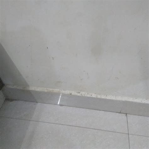 KVP INN (Tirupati) - Hotel Reviews, Photos, Rate Comparison - Tripadvisor