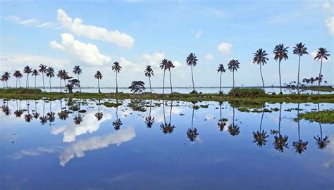Aroor In Kerala Guide Offer Tranquility Amidst Nature In 2026