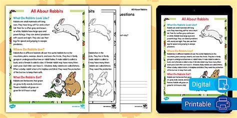 2nd Grade All About Rabbits Reading Comprehension Worksheet
