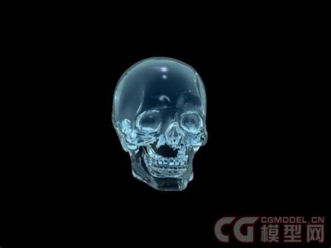 水晶 骷髅头 写实 怪奇_茶杯上的云作品_人物人体器官人物人体器官_cg模型网