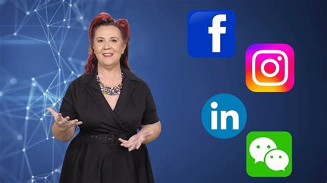 Image result for How to Set Up Link Tree TLC