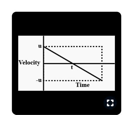 Draw velocity - time graph of a stone thrown vertically upward and it ...
