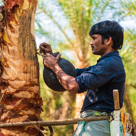 Two Brothers India in Empowering Farmers for a Greener Future