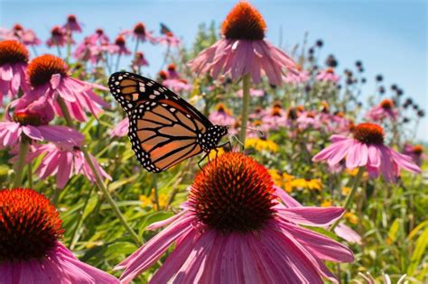 Image result for WinCC Project Examples