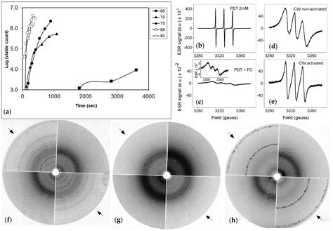 Abundant Small Protein ICARUS Inside the Cell Wall of Stress-Resistant ...