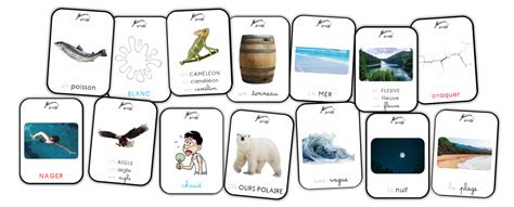 Exploitation d'album - Le voyage de Plume - Maîtresse Lunicole