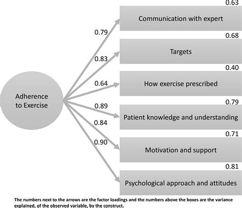 Exercise Program Adherence 的图像结果