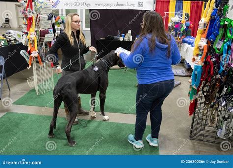 Novi Pet Expo in Novi, Michigan on 12-04-2021 at the Suburban ...