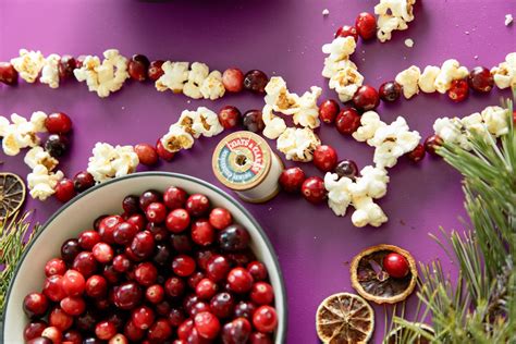 DIY Christmas Garland Ideas