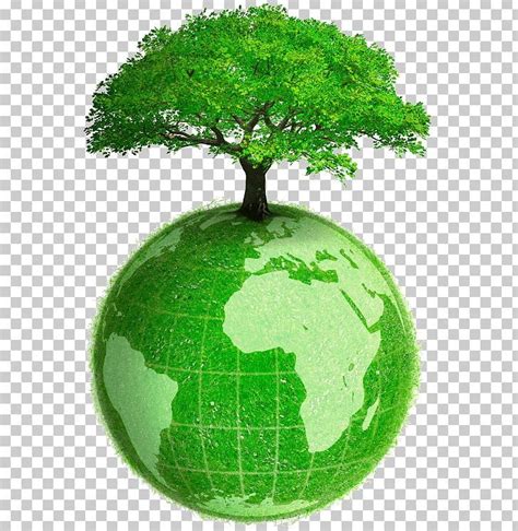 Environment PNG 的图像结果