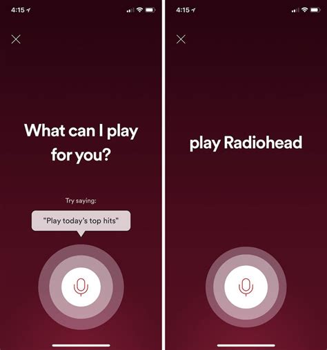 Image result for Python Spotify Voice Control