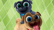 puppy pals wallpaper puppy pals is now available on dvd and we celebrated puppy pals wallpaper puppy pals is now available on dvd and we celebrated