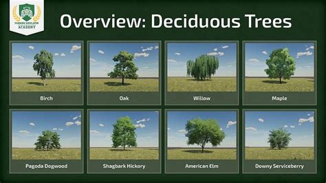 Image result for Farming Simulator 19 Tree Types