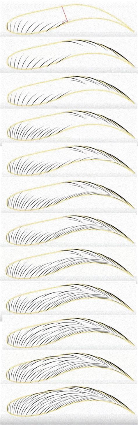 Image result for Microblading Eyebrow Tutorial