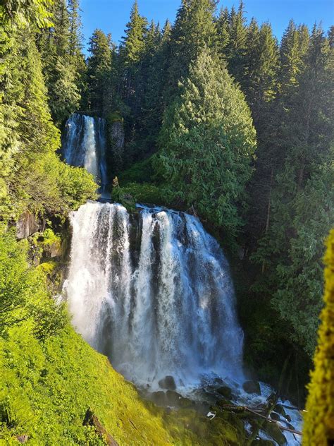 Chasing Waterfalls in Oregon: A Detailed Review of Marion Falls and ...