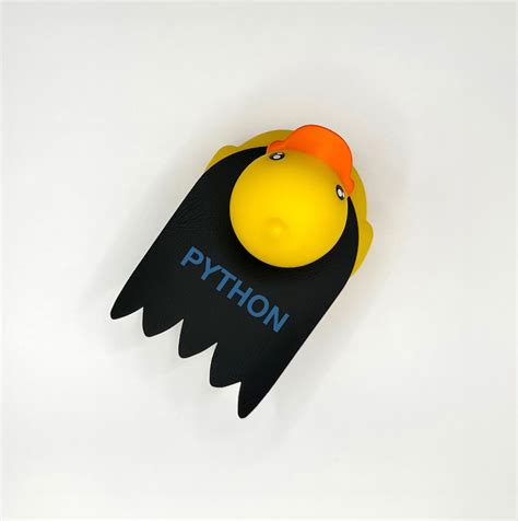 Image result for Debugging Duck Python