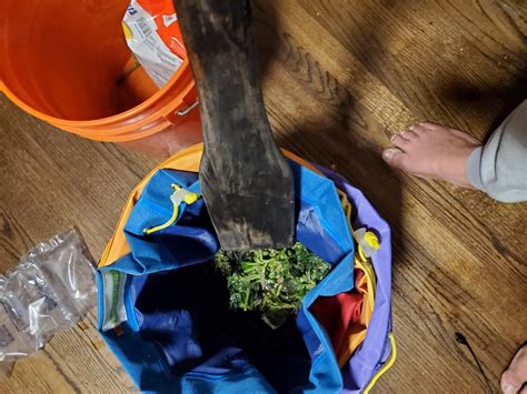 Image result for Homemade Bubble Hash