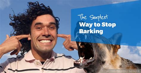 Dog Training for Barking - The Dog Calming Code