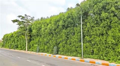 ‘An environmental hazard’: Why Telangana Speaker asks govt to remove ...