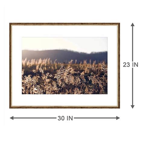 Field Framed Wall Art | At Home