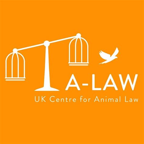 Protecting Our Non-Human Friends: Scotland Animal Welfare Updates, The ...