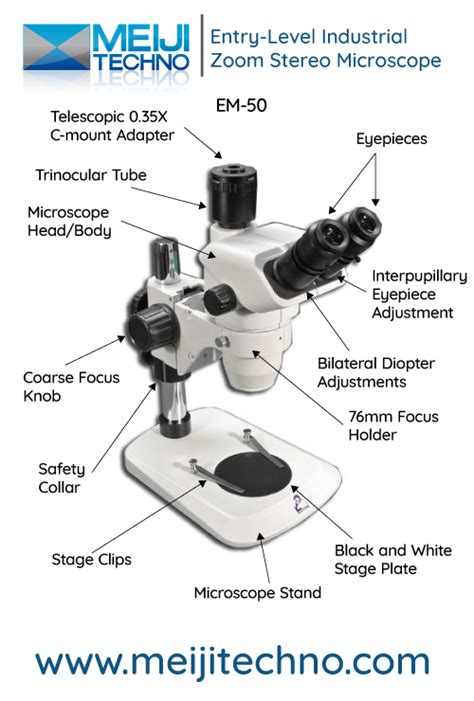 Microscope Terminology 的图像结果