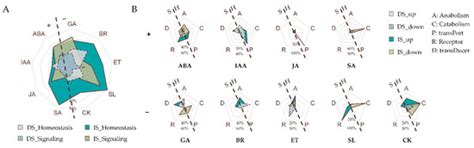DELAY OF GERMINATION 1, the Master Regulator of Seed Dormancy ...