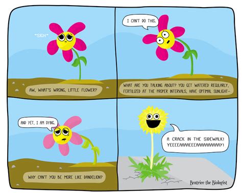 Image result for Backyardigans Flower Power Meme