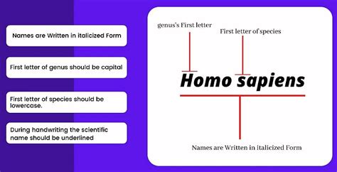 NEET Previous Year Questions (2016-2025): The Living World