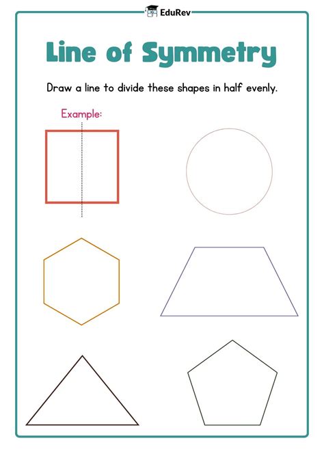 Visual Worksheet: Lines of Symmetry - Mathematics for Class 5 PDF Download
