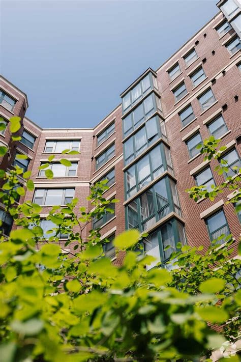 Washington Dc在哪 的图像结果