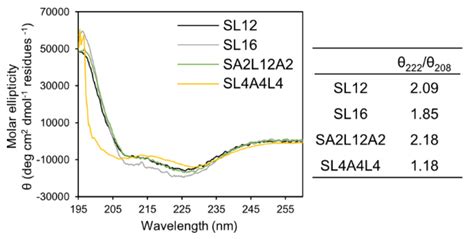Tubular Assembly Formation Induced by Leucine Alignment along the ...