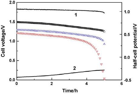 Image result for Electroconcentration Gradient