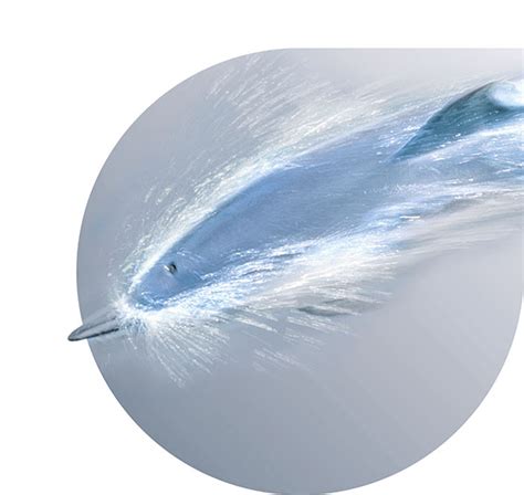 Bio Rad CFX Cycler - Home