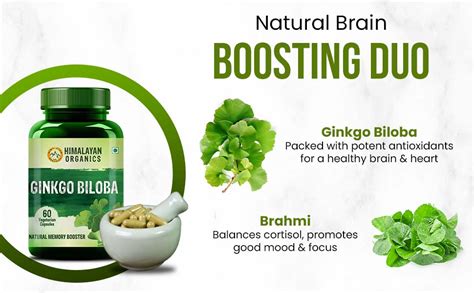 Himalayan Organics Ginkgo Biloba 500mg With Brahmi for Better ...