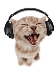 Image result for Cat Generator Control Module