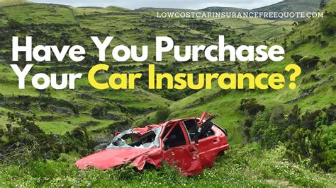 Image result for Get Car Insurance Immediately