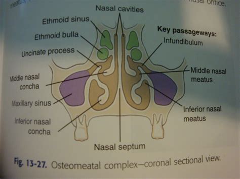 IHMC Public Cmaps (2)
