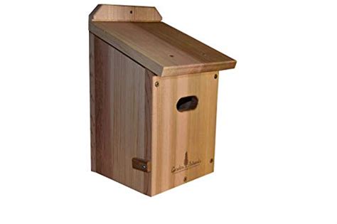 Image result for Tree Swallow Boxes