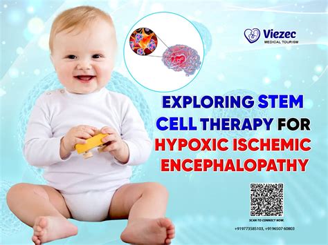 Placenta Stem Cells: Benefits, Therapy & Storage Guide